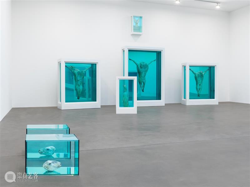 高古轩伦敦推出Damien Hirst个展「自然历史」，首次集中呈现这一标志性系列 伦敦 自然 历史 Damien Hirst 标志性 个展 高古轩 系列 DACS 崇真艺客