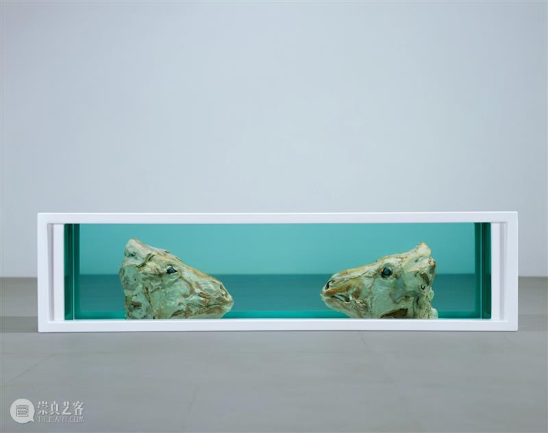 高古轩伦敦推出Damien Hirst个展「自然历史」，首次集中呈现这一标志性系列 伦敦 自然 历史 Damien Hirst 标志性 个展 高古轩 系列 DACS 崇真艺客