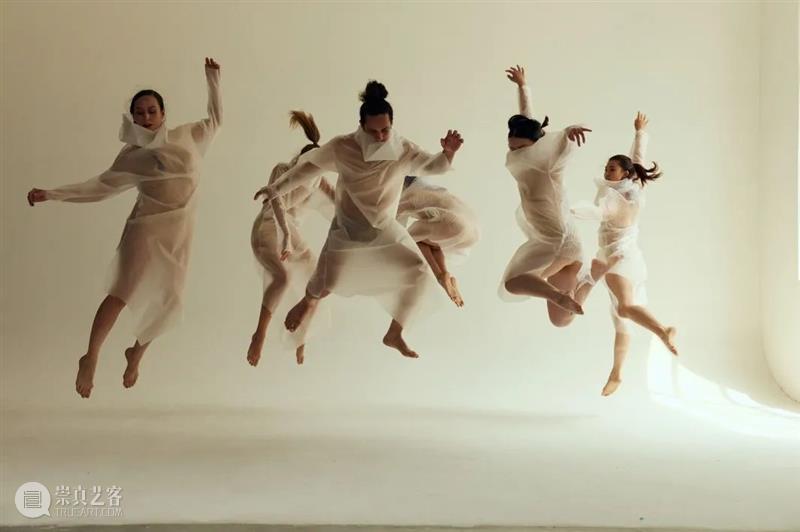 早鸟倒计时|一部作品两种风格,SLATE现代舞团新作,“暗黑美学”舞蹈剧场4月上演 剧场 舞蹈 早鸟 倒计时 新作 作品 风格 现代 舞团 SLATE 崇真艺客