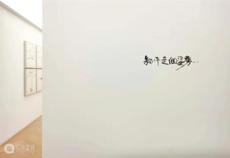 直播预告|3月16日上午11:00杨志麟带你理解“躺平是个姿势” 杨志麟 姿势 个展 二维码 嘉宾 时间 艺术 空间 展厅 艺术家 崇真艺客
