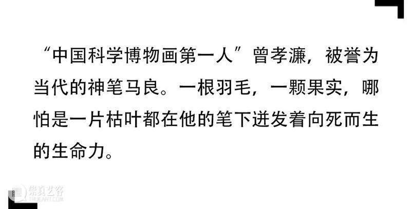 SCôP Exhibition | 择一事而终一生的中国博物画第一人 中国 博物 一事 一生 第一人 曾孝濂 云南 威信 过去 中国植物志 崇真艺客