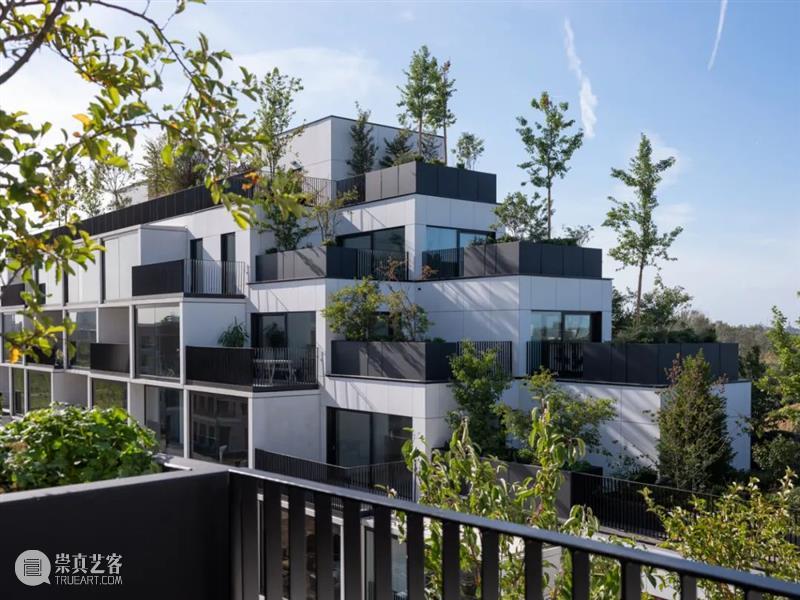 建筑丨“悬浮森林”绿色环保？还是一种纯粹的噱头？ 森林 建筑 噱头 环保 绿色 Szeremeta 英国 托马斯·赫斯维克 上海 天安 崇真艺客