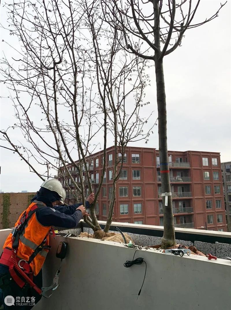 建筑丨“悬浮森林”绿色环保？还是一种纯粹的噱头？ 森林 建筑 噱头 环保 绿色 Szeremeta 英国 托马斯·赫斯维克 上海 天安 崇真艺客