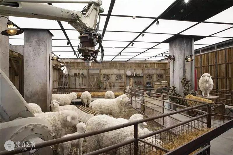 花椿专栏「Rocky’s Report From Shanghai」｜二十篇文化新现象输出中国新观点 崇真艺客