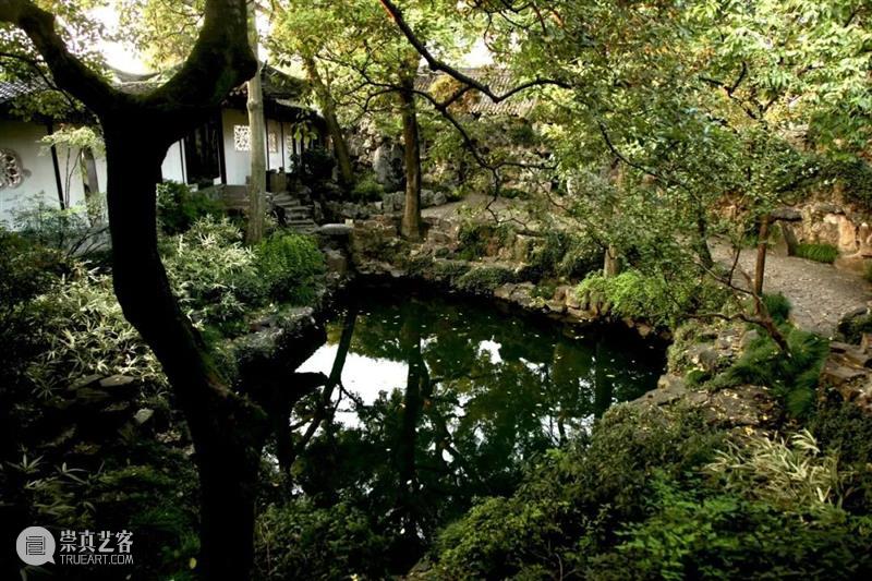 花椿专栏「Rocky’s Report From Shanghai」｜二十篇文化新现象输出中国新观点 崇真艺客