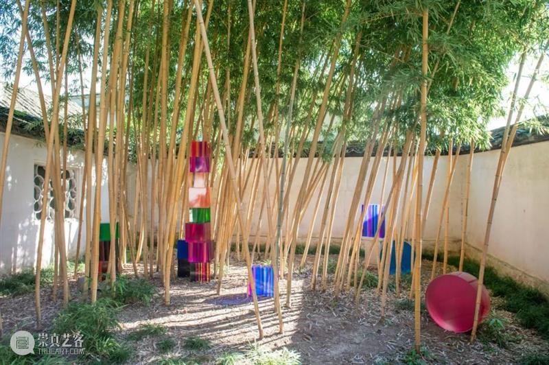 花椿专栏「Rocky’s Report From Shanghai」｜二十篇文化新现象输出中国新观点 崇真艺客