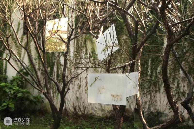 花椿专栏「Rocky’s Report From Shanghai」｜二十篇文化新现象输出中国新观点 崇真艺客