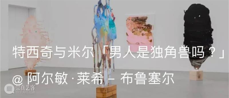 展览现场｜特西奇与米尔（Tursic & Mille）@ 第戎当代艺术中心｜AR艺术家 现场 第戎当代艺术中心 艺术家 米尔 ｜特西奇 柔情 阿尔敏 莱希 特西奇 Mille 崇真艺客