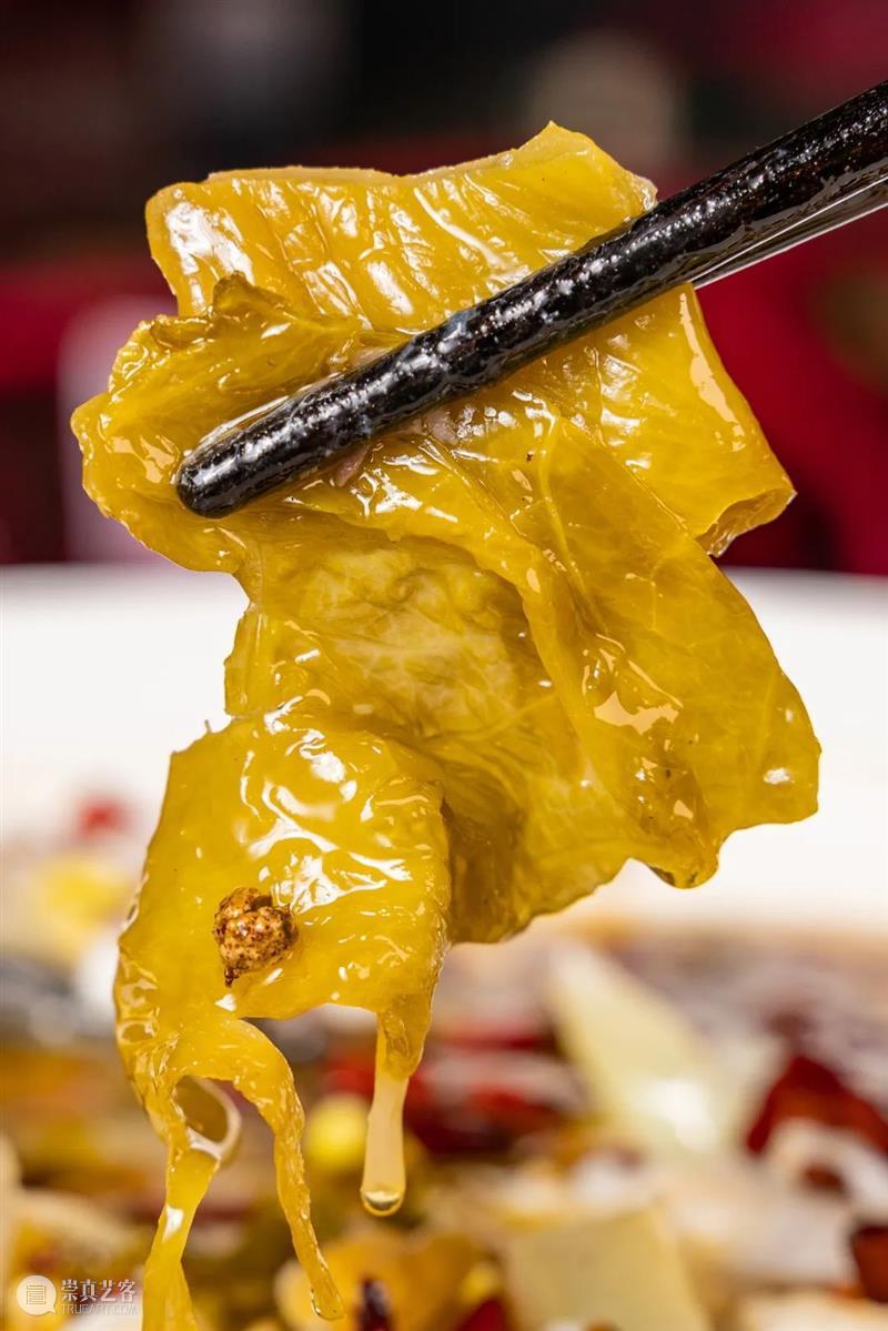 酸菜，不止有老坛！ 酸菜 老坛 智慧 香气 生存之道 德国 总理 默克尔 中国 沈阳 崇真艺客