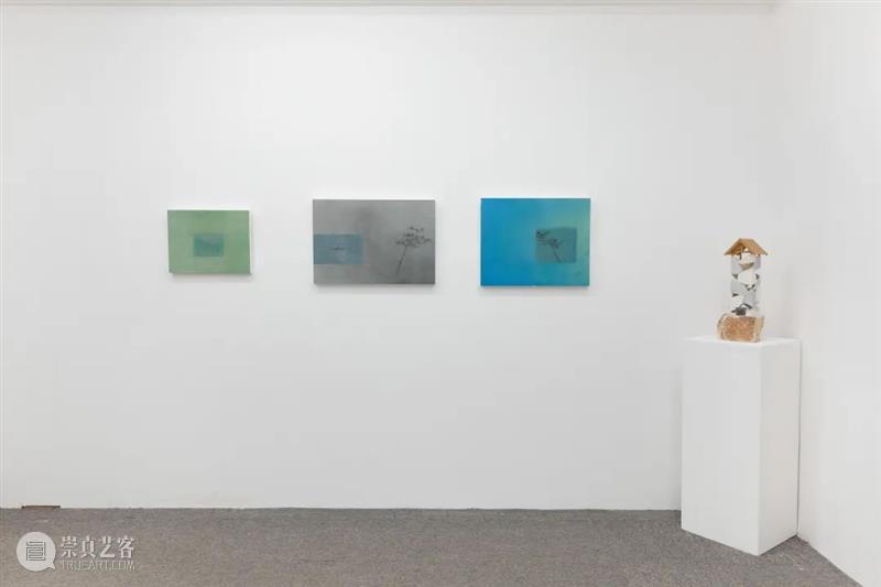 東京画廊+BTAP C厅正在展出｜万物生 C厅 万物 现场图 画廊 BTAP 北京 朦胧主义 系列展 古今 内容 崇真艺客