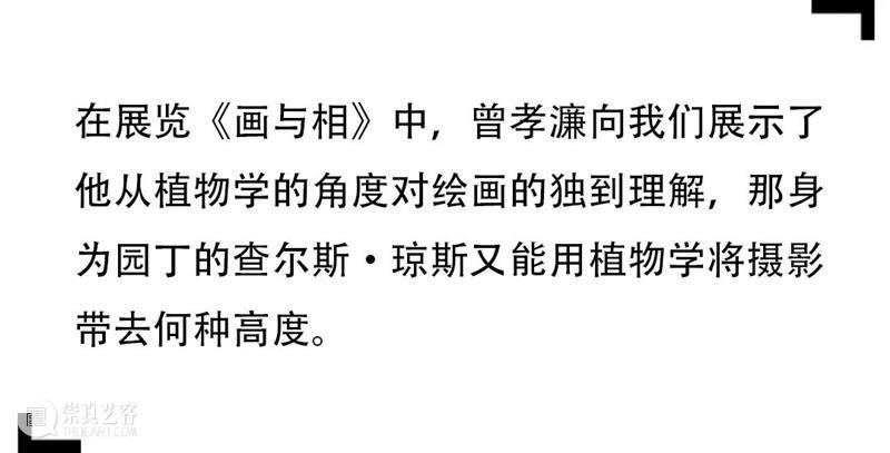SCôP Exhibition | 查尔斯·琼斯：园丁之眼 查尔斯·琼斯 园丁 英国 中部地区 伍尔弗汉普顿市 琼斯 高质量 园艺 技术 英格兰 崇真艺客