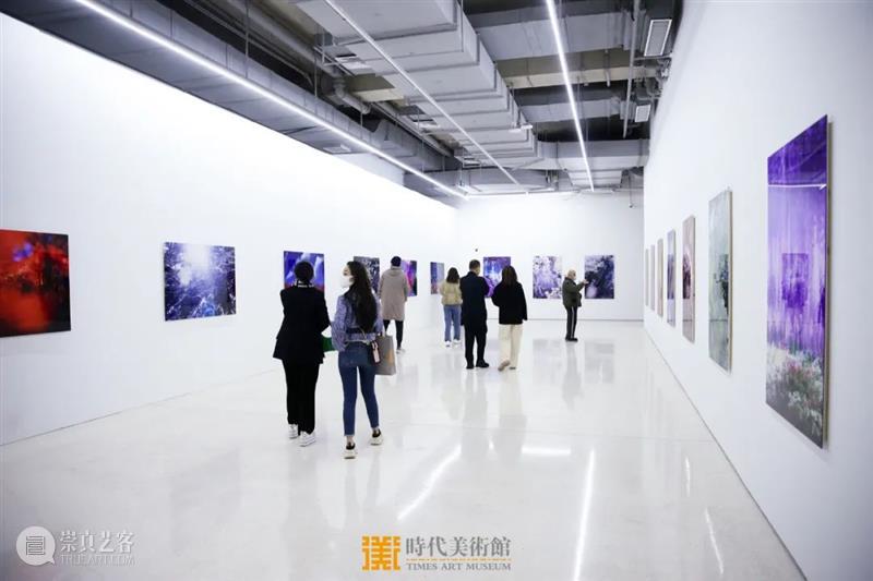 蜷川实花最大规模个展在京开幕，五大单元作品海外首次展出 蜷川实花 个展 作品 海外 规模 单元 一线 艺术家 电影 导演 崇真艺客