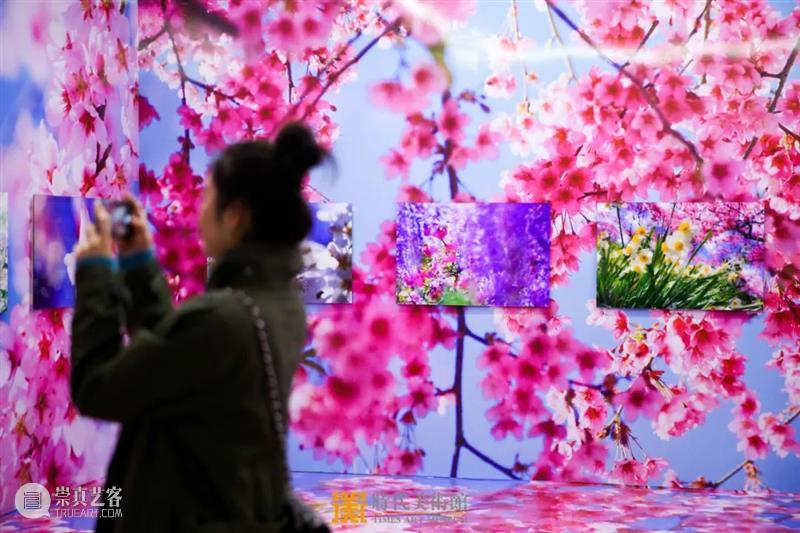 蜷川实花最大规模个展在京开幕，五大单元作品海外首次展出 蜷川实花 个展 作品 海外 规模 单元 一线 艺术家 电影 导演 崇真艺客
