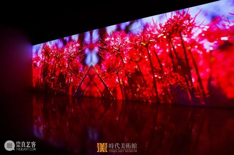 时代·新展| 蜷川实花最大规模个展在北京时代美术馆开幕 视频资讯 北京时代美术馆 蜷川实花 个展 北京时代美术馆 时代 新展 规模 一线 艺术家 电影 导演 崇真艺客
