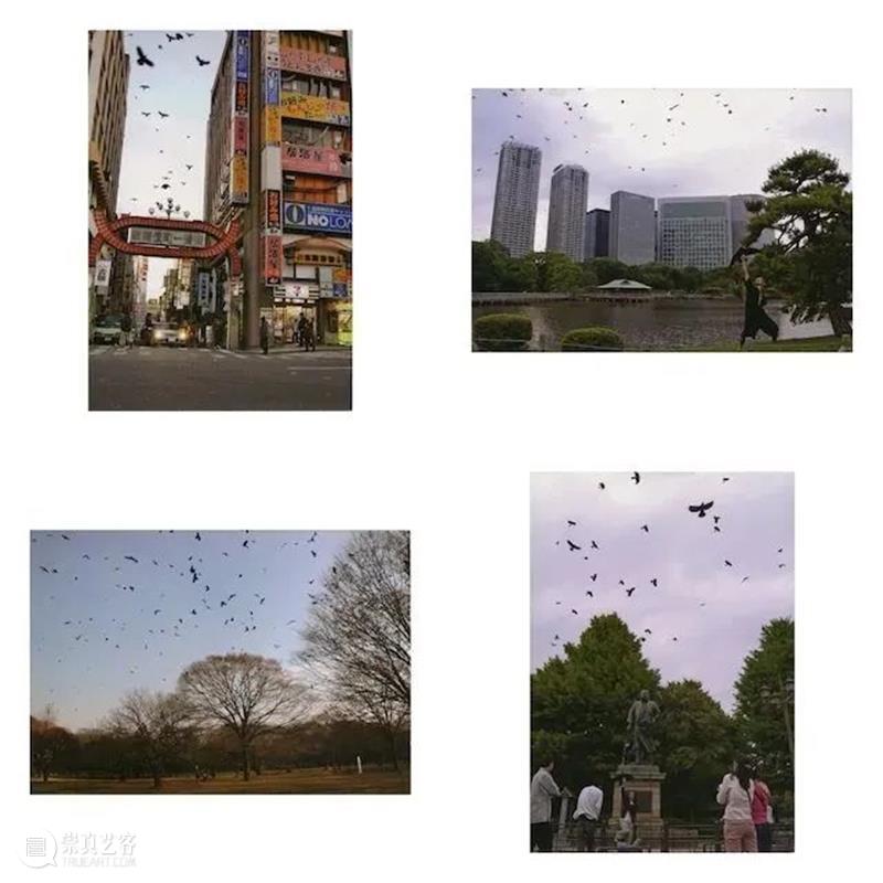 关于Chim ↑ Pom，你需要知道的还有很多 | 国家美术·关注 Chim Pom 国家 美术 名称 Pom展 SPRING 时间 地点 东京 崇真艺客