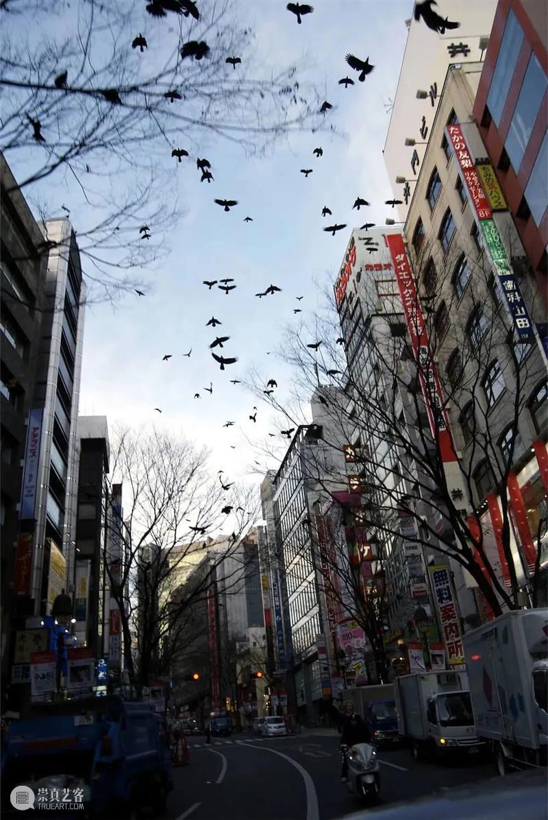 关于Chim ↑ Pom，你需要知道的还有很多 | 国家美术·关注 Chim Pom 国家 美术 名称 Pom展 SPRING 时间 地点 东京 崇真艺客