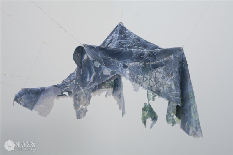 同行/当爱在艺术中 | Gaëlle Choisne 视频资讯 徐震XuZhen Choisne 艺术 同行 生活 工作 巴黎 伦敦 之间 私人 国际 崇真艺客