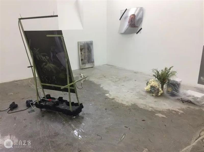 同行/当爱在艺术中 | Gaëlle Choisne 视频资讯 徐震XuZhen Choisne 艺术 同行 生活 工作 巴黎 伦敦 之间 私人 国际 崇真艺客
