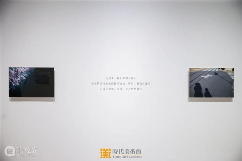 许魏洲、朱珠特别语音导览正式上线 许魏洲 朱珠 语音 导览 蜷川实花展 现实 之间 北京时代美术馆 演员 歌手 崇真艺客