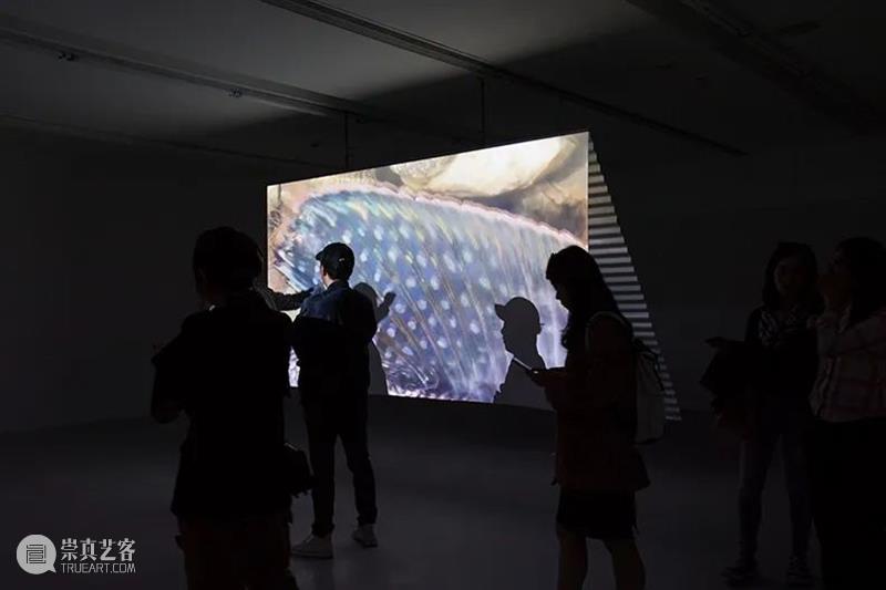 Artist | Yi Xin Tong video works overview Artist 童义欣 University Vancouver Beijing from Vanguard Gallery Shanghai Space 崇真艺客