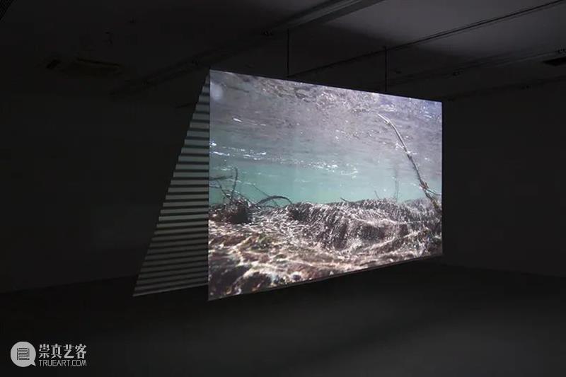 Artist | Yi Xin Tong video works overview Artist 童义欣 University Vancouver Beijing from Vanguard Gallery Shanghai Space 崇真艺客