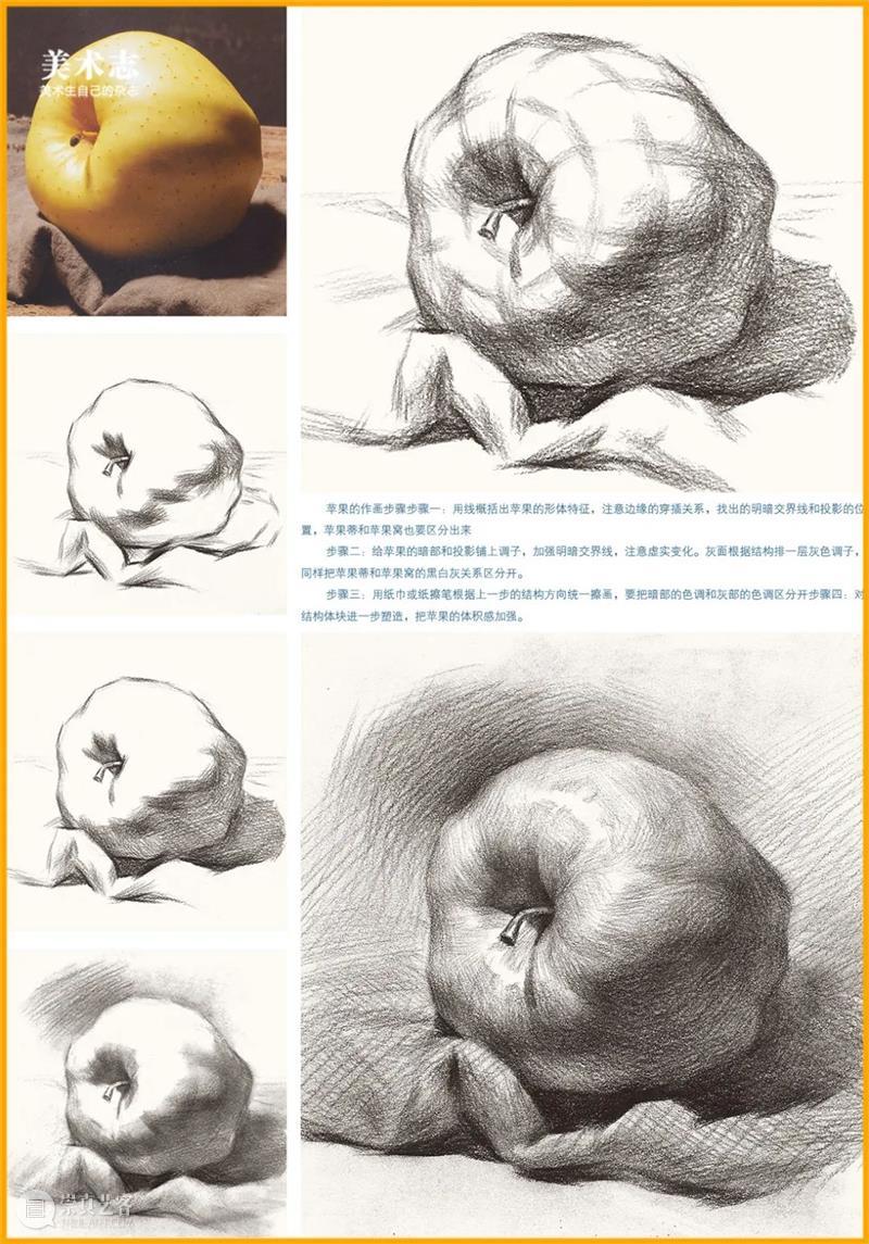 据说这个静物让所有美术生都头疼，不信你来画试试 ！ 静物 美术生 素描静物苹果 常客 同学 苹果 小志 团队 基础 同学们 崇真艺客