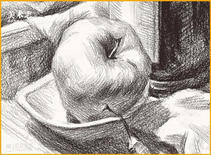 据说这个静物让所有美术生都头疼，不信你来画试试 ！ 静物 美术生 素描静物苹果 常客 同学 苹果 小志 团队 基础 同学们 崇真艺客