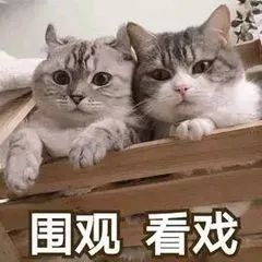 《检察风云》等五部电影退出五一档；毕赣新短片入围戛纳 电影 毕赣 短片 检察风云 戛纳 影视 好剧 小豆 资讯 豆瓣 崇真艺客