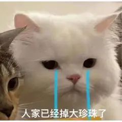 《检察风云》等五部电影退出五一档；毕赣新短片入围戛纳 电影 毕赣 短片 检察风云 戛纳 影视 好剧 小豆 资讯 豆瓣 崇真艺客