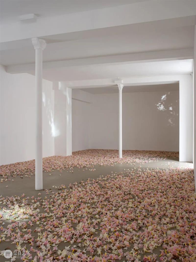当前展览 | Allora & Calzadilla（阿洛拉和卡尔萨迪利亚）个展—— “Antille” Antille 阿洛拉 卡尔萨迪利亚 个展 当前 Allora Calzadilla view Paris Argyroglo.桑塔画廊 崇真艺客