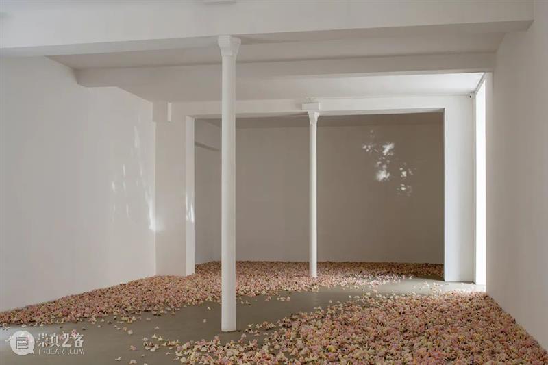 当前展览 | Allora & Calzadilla（阿洛拉和卡尔萨迪利亚）个展—— “Antille” Antille 阿洛拉 卡尔萨迪利亚 个展 当前 Allora Calzadilla view Paris Argyroglo.桑塔画廊 崇真艺客