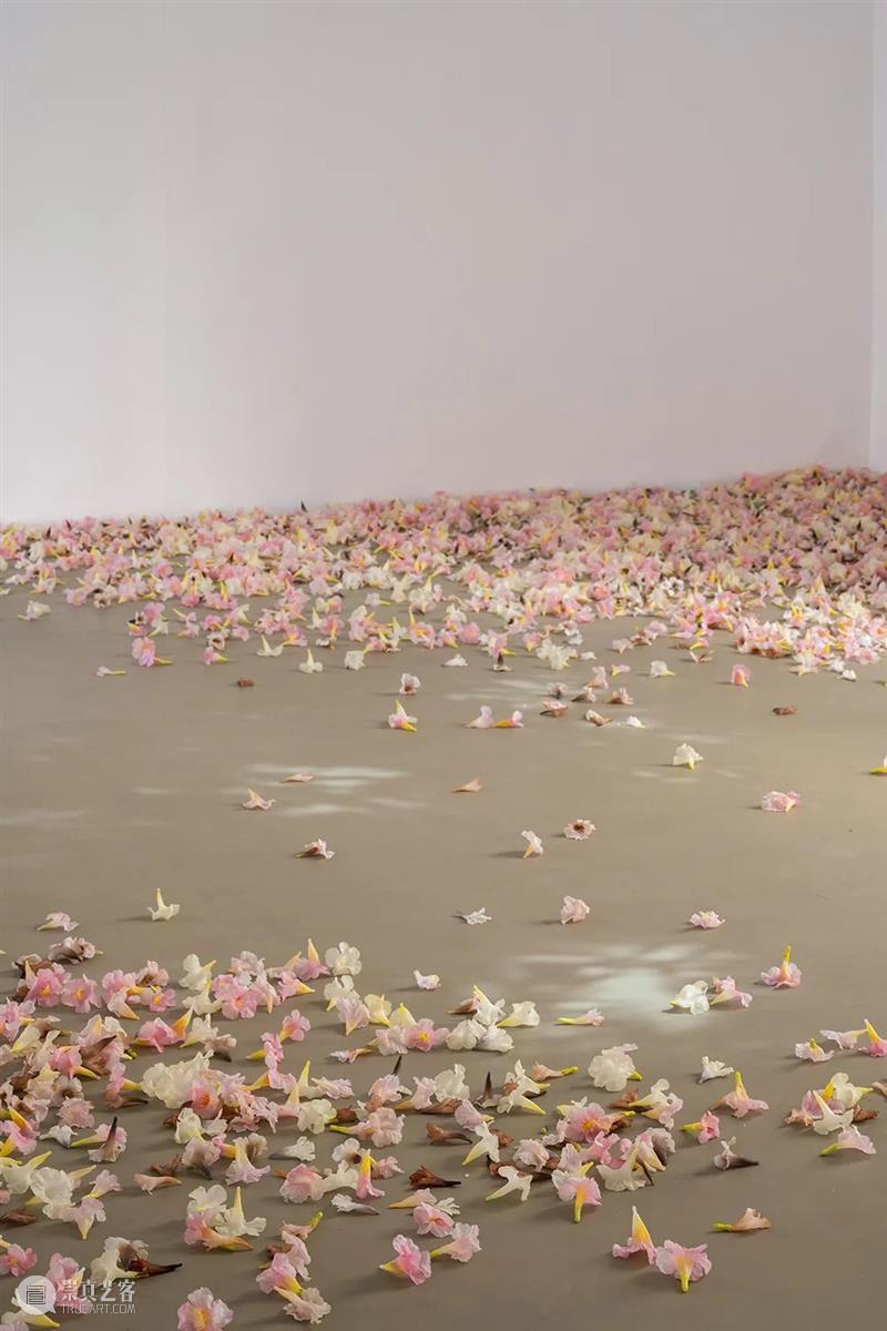 当前展览 | Allora & Calzadilla（阿洛拉和卡尔萨迪利亚）个展—— “Antille” Antille 阿洛拉 卡尔萨迪利亚 个展 当前 Allora Calzadilla view Paris Argyroglo.桑塔画廊 崇真艺客