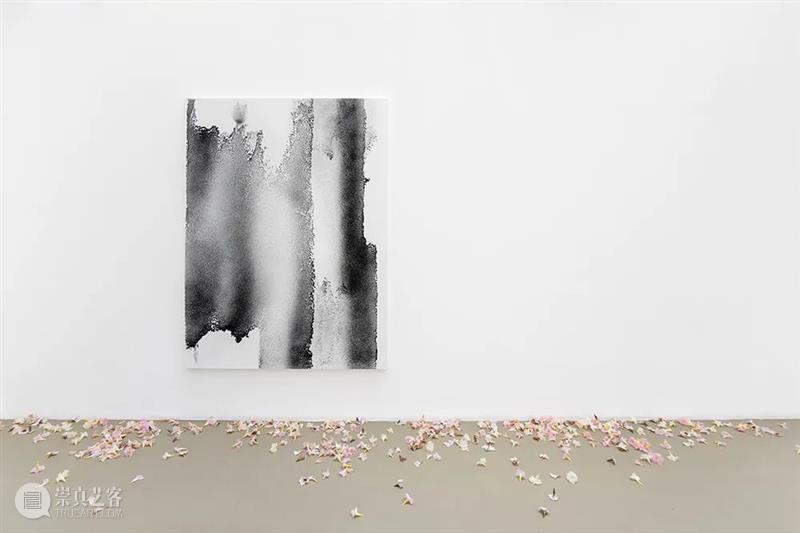 当前展览 | Allora & Calzadilla（阿洛拉和卡尔萨迪利亚）个展—— “Antille” Antille 阿洛拉 卡尔萨迪利亚 个展 当前 Allora Calzadilla view Paris Argyroglo.桑塔画廊 崇真艺客