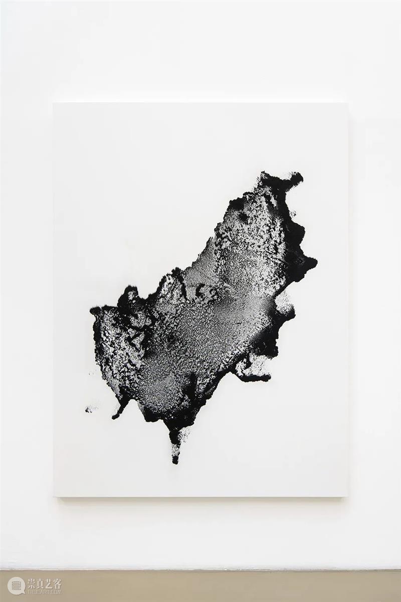 当前展览 | Allora & Calzadilla（阿洛拉和卡尔萨迪利亚）个展—— “Antille” Antille 阿洛拉 卡尔萨迪利亚 个展 当前 Allora Calzadilla view Paris Argyroglo.桑塔画廊 崇真艺客