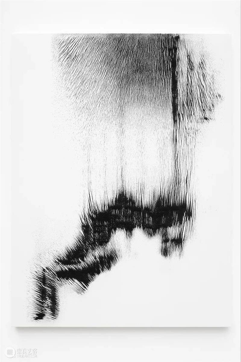 当前展览 | Allora & Calzadilla（阿洛拉和卡尔萨迪利亚）个展—— “Antille” Antille 阿洛拉 卡尔萨迪利亚 个展 当前 Allora Calzadilla view Paris Argyroglo.桑塔画廊 崇真艺客