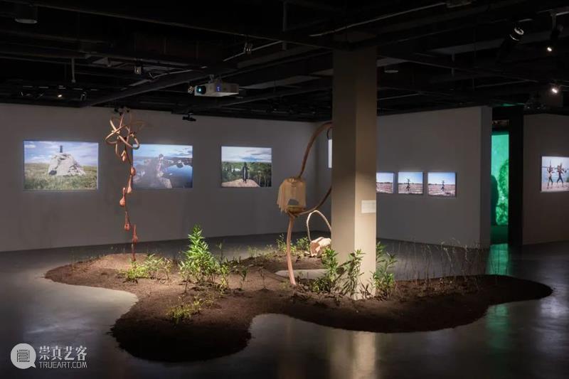 飞去来器——OCAT双年展 | 线上论坛 ⑩ 亲缘关系(kinship)：是生态视角、也是讲故事的方式 博文精选 华美术馆 亲缘 关系 kinship 生态 视角 方式 论坛 飞去来器 OCAT双年展 线上 崇真艺客
