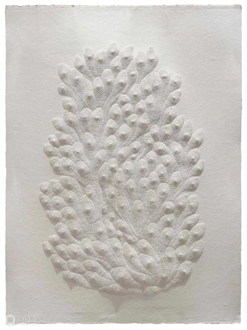 付小桐《NUN-3》| 打破平面上的禁锢 NUN 付小桐 平面 Pinpricks Handmade paper 手工 宣纸 小桐 时间 崇真艺客