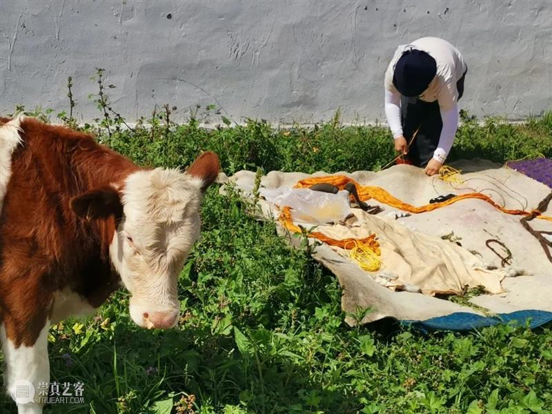 新塔娜：要找的东西其实在自家的柜子里|造访 新塔娜 东西 柜子 艺术家 时间 地点 微信 塔娜 ShinetannaC 艺术 崇真艺客
