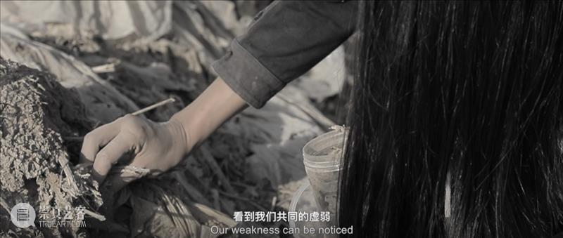 世界地球日 | Review “ 土壤环境暴露组学与人体生态对谈 ” 崇真艺客