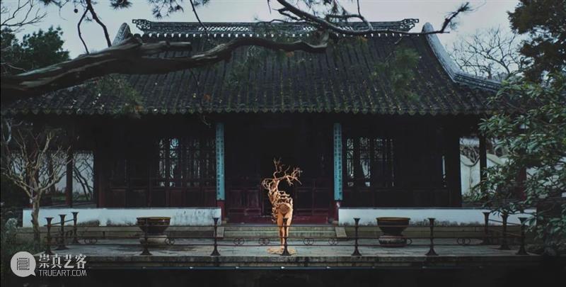 世界地球日 | Review “ 土壤环境暴露组学与人体生态对谈 ” 崇真艺客