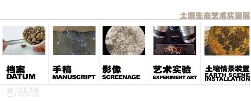 世界地球日 | Review “ 土壤环境暴露组学与人体生态对谈 ” 崇真艺客