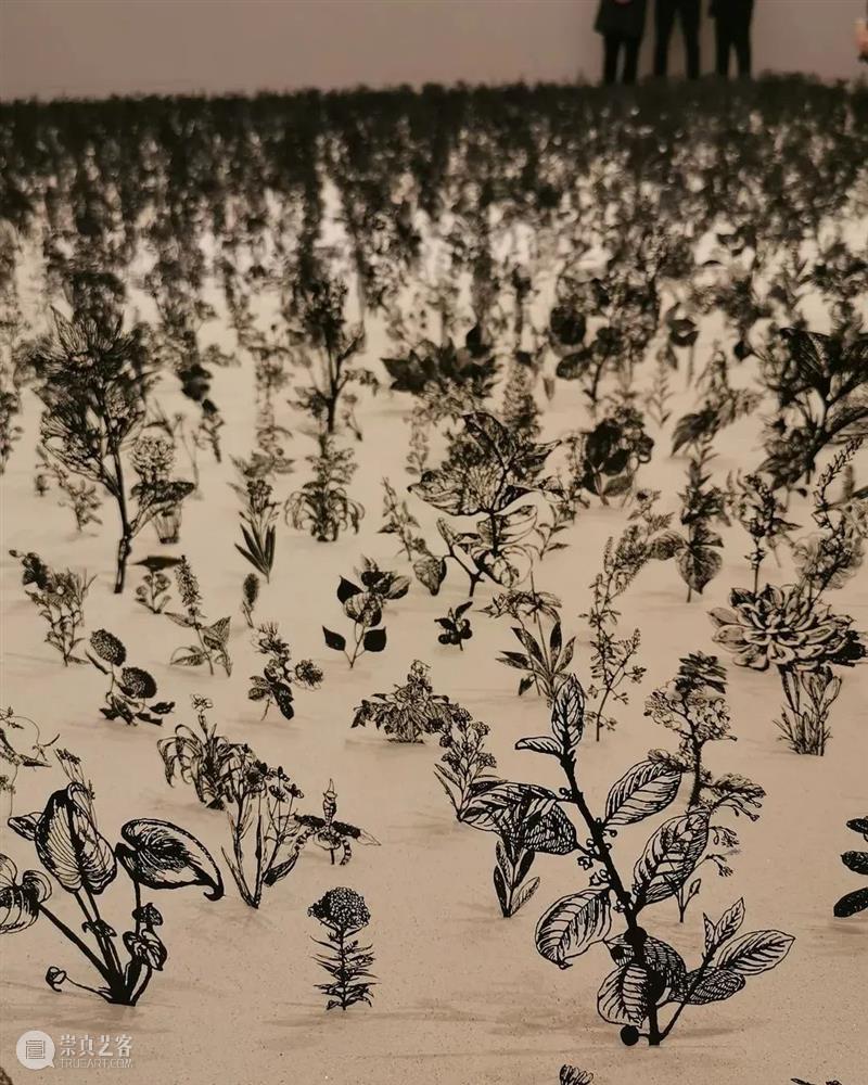 HOW Picks | Vol.13 唯有春天是自由的 Picks 昊美术馆 趣味性 内容 栏目 公众 团队 艺术类 电影 书籍 崇真艺客