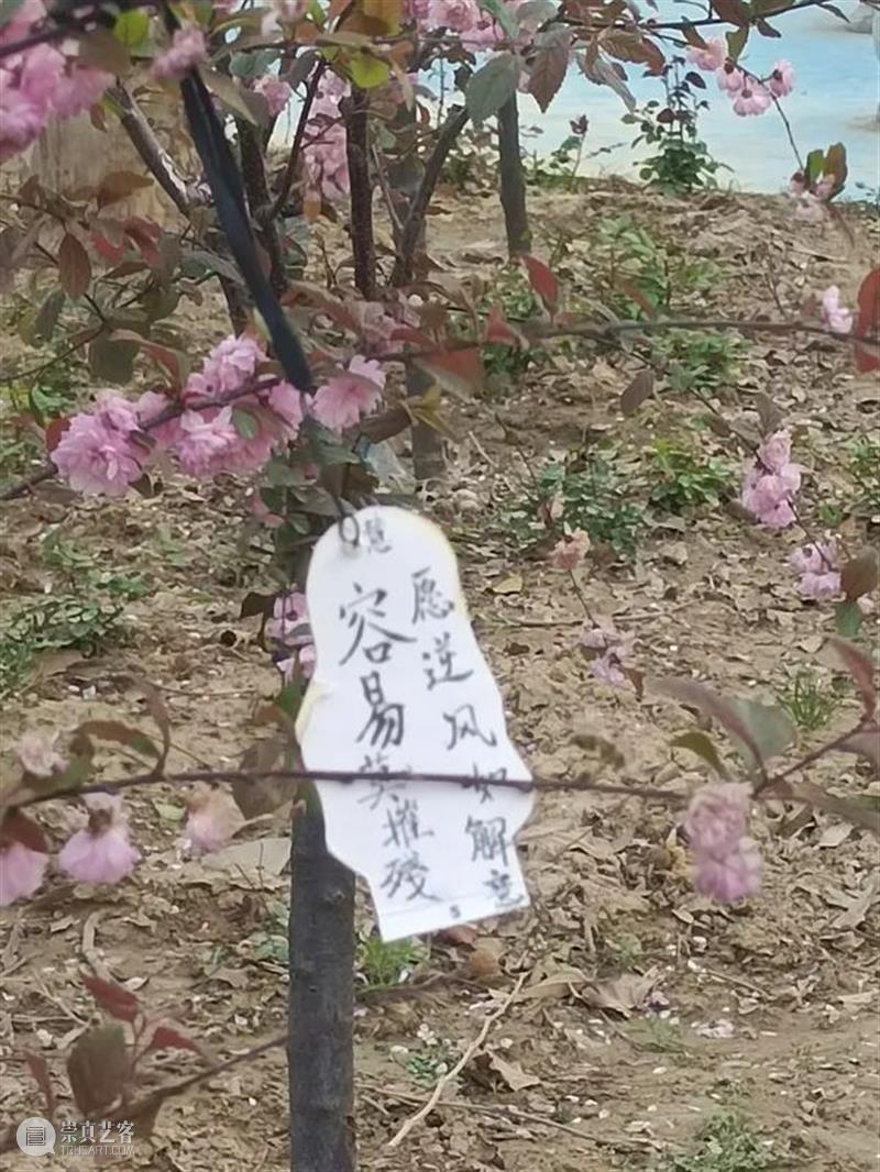 有人在学校里挂了甄嬛的小像 学校 甄嬛 本文 豆瓣小组 后宫 甄嬛传 豆瓣 用户 Westy授权发布丨 原文 崇真艺客
