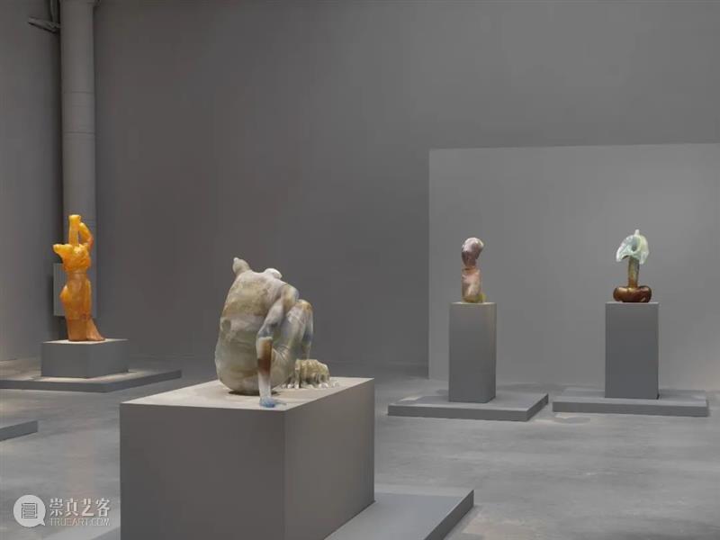 威尼斯双年展专题 ｜ 主题展《梦想之乳》 威尼斯双年展 主题展 梦想之乳 专题 展区 军械库 威尼斯花园 Giardini 主题 国家 崇真艺客