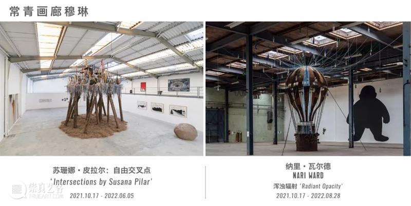 常青画廊将参加2022年 TEFAF 纽约博览会 | 展位 319 常青画廊 纽约 TEFAF 博览会 展位 美国 绘画 雕塑 装置 作品 崇真艺客
