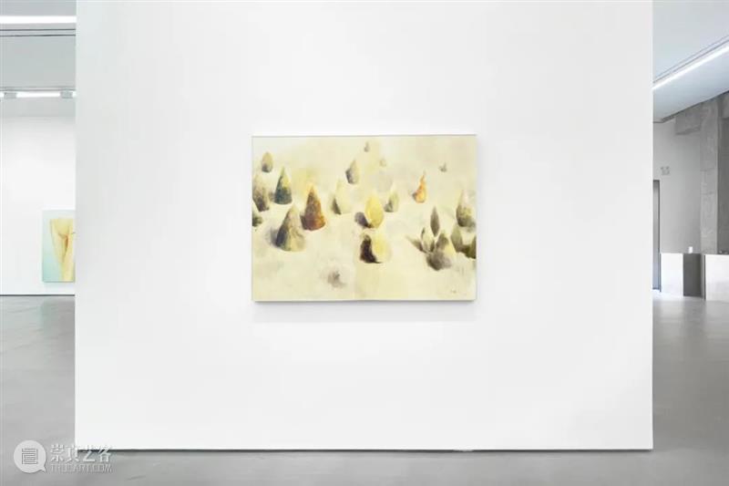 逸空间 艺术家｜杨欣嘉 Yang Xinjia 艺术家 杨欣嘉 Xinjia 空间 物欲 Desire策展人 Curator 王麟 陈文波 郝建涛 崇真艺客
