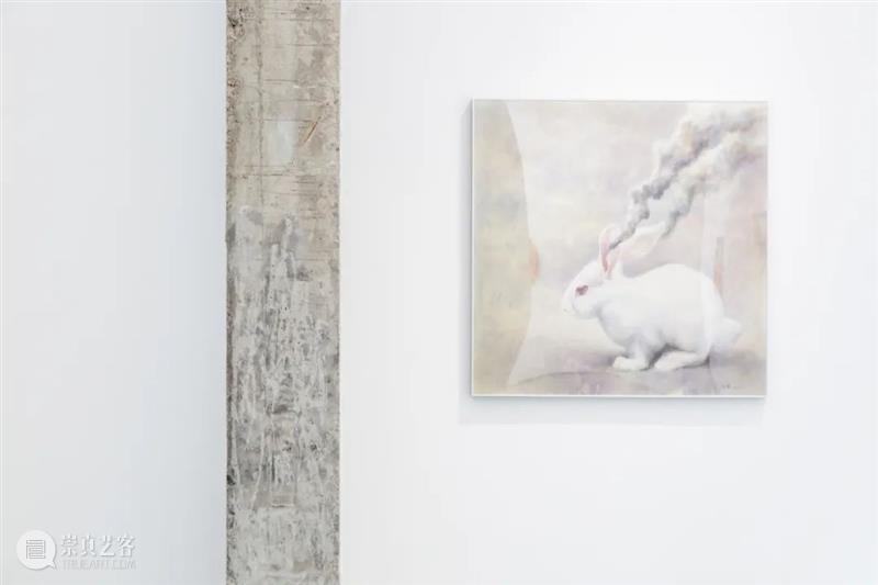 逸空间 艺术家｜杨欣嘉 Yang Xinjia 艺术家 杨欣嘉 Xinjia 空间 物欲 Desire策展人 Curator 王麟 陈文波 郝建涛 崇真艺客