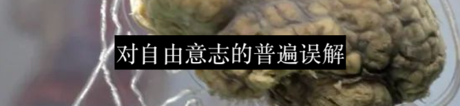 自由意志，只是一种信仰？ 自由意志 信仰 人们 道德观念 Coaching利维坦 场景 电影 片中 情节 影片 崇真艺客