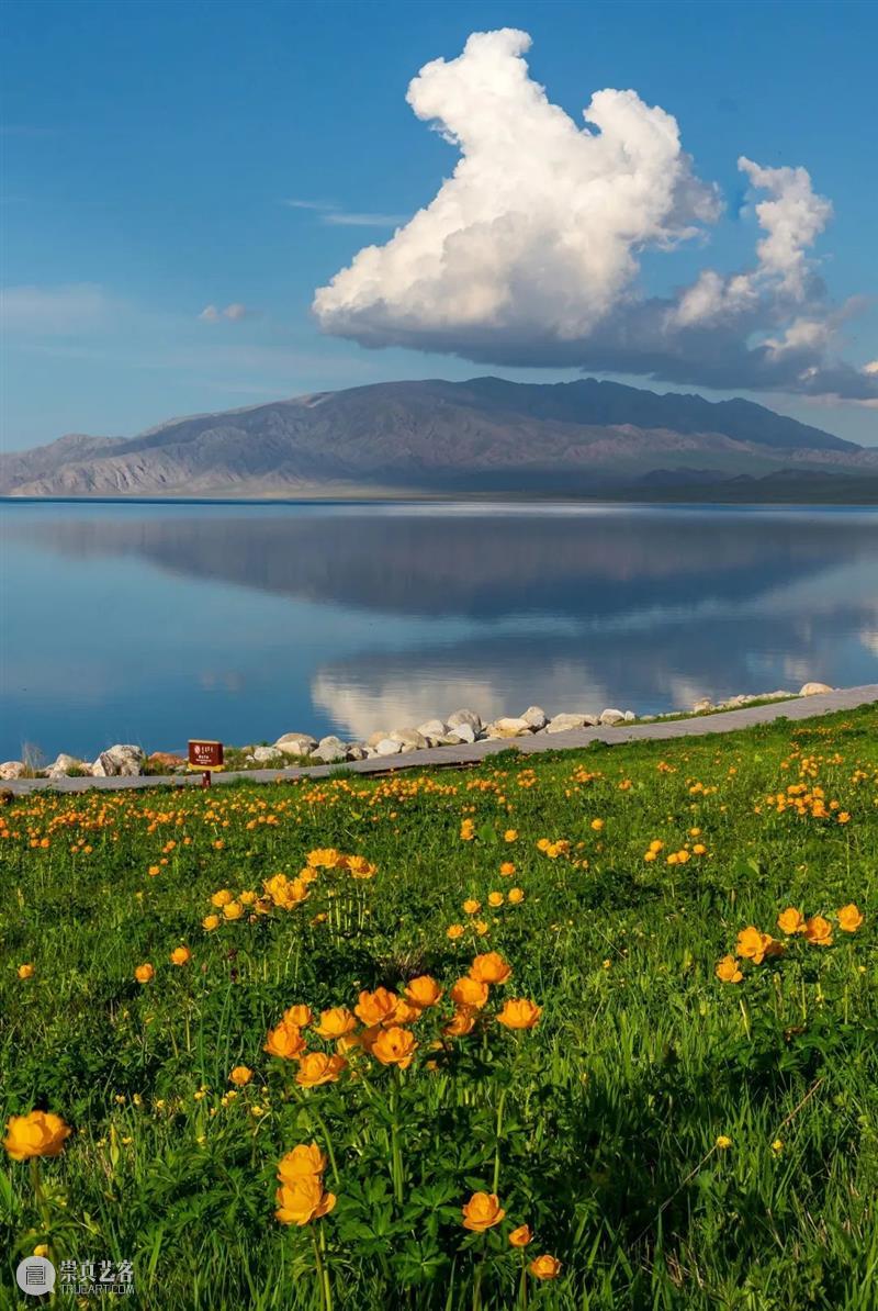 新疆的“睡美人”醒了。 新疆 睡美人 意境 世外 景色 赛里木湖 奇观 网络 湖面 岸边 崇真艺客