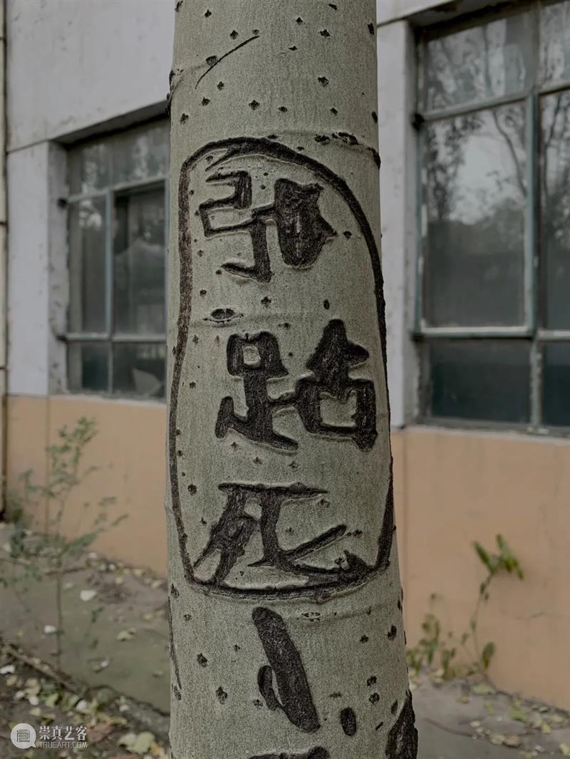 梁硕:乡野金石录 崇真艺客